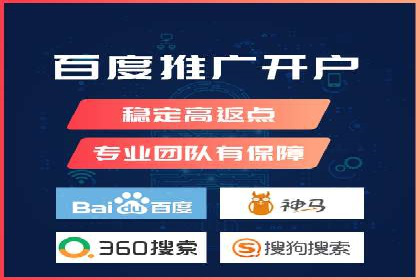 SEM推广策略：成功案例解析